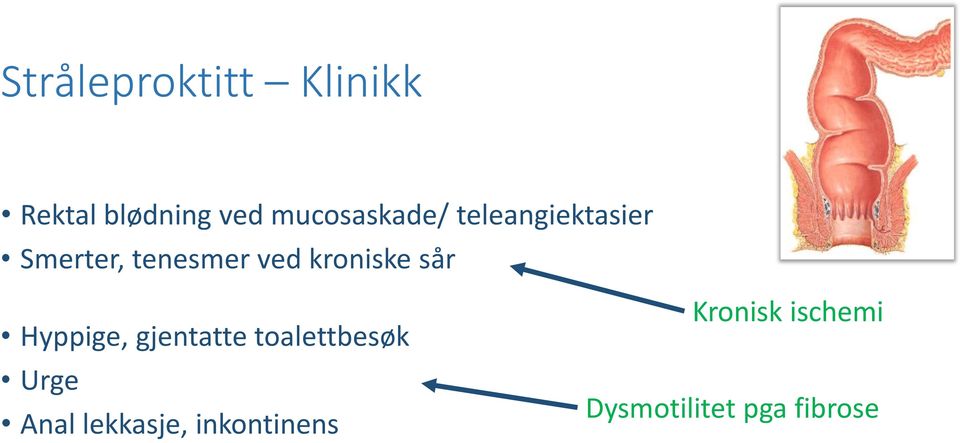 kroniske sår Hyppige, gjentatte toalettbesøk Urge