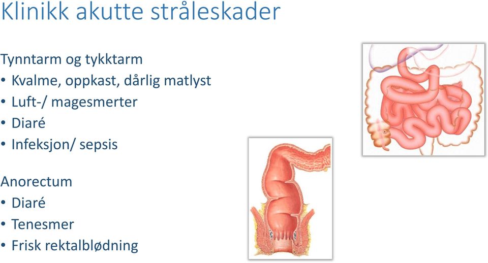 Luft-/ magesmerter Diaré Infeksjon/ sepsis