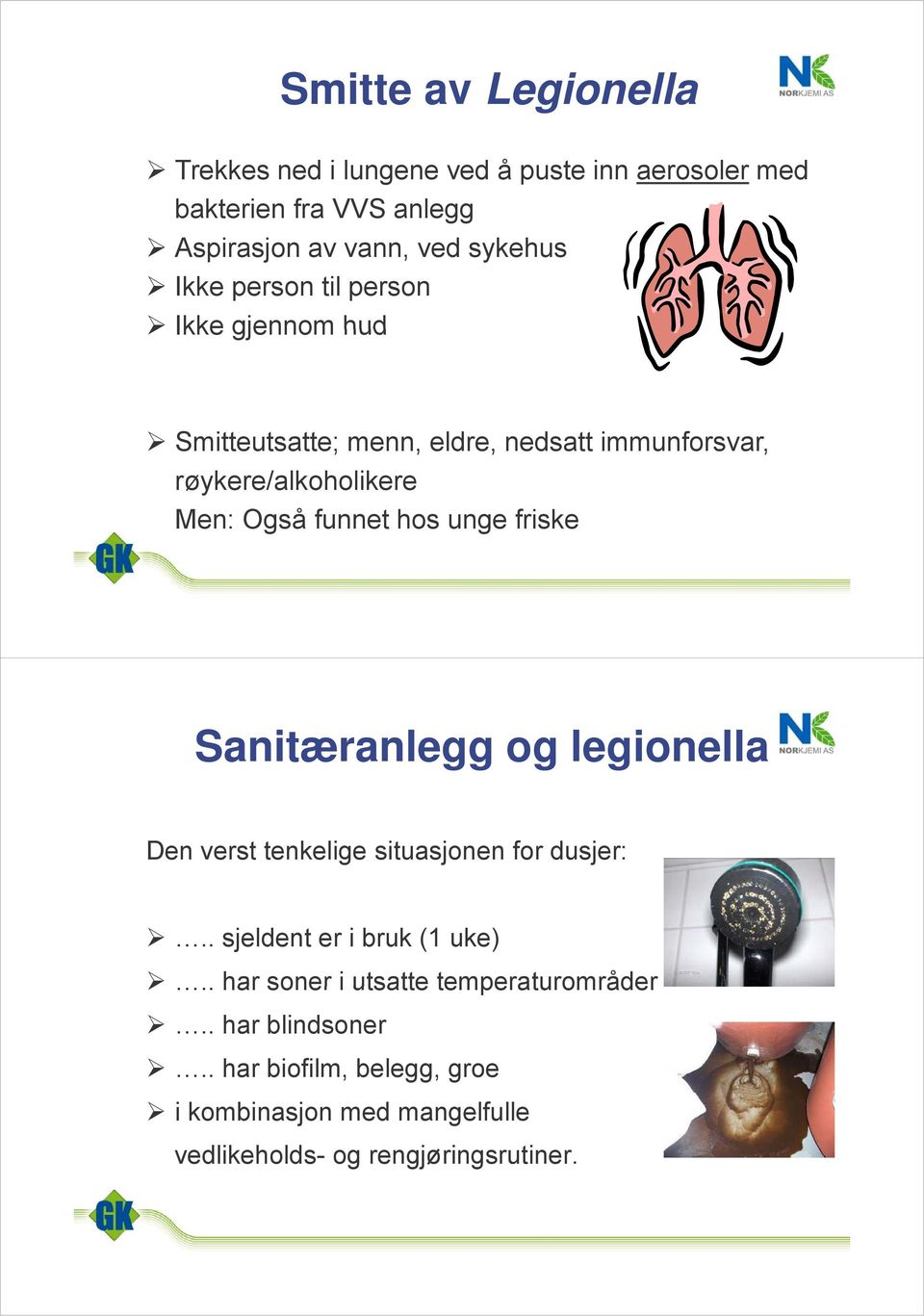 hos unge friske Sanitæranlegg og legionella Den verst tenkelige situasjonen for dusjer:.. sjeldent er i bruk (1 uke).