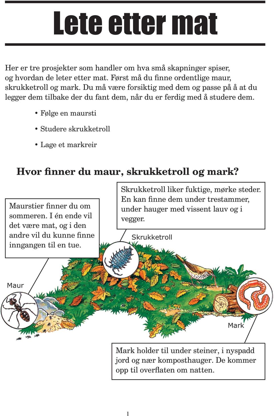 Følge en maursti Studere skrukketroll Lage et markreir Hvor finner du maur, skrukketroll og mark? Maurstier finner du om sommeren.