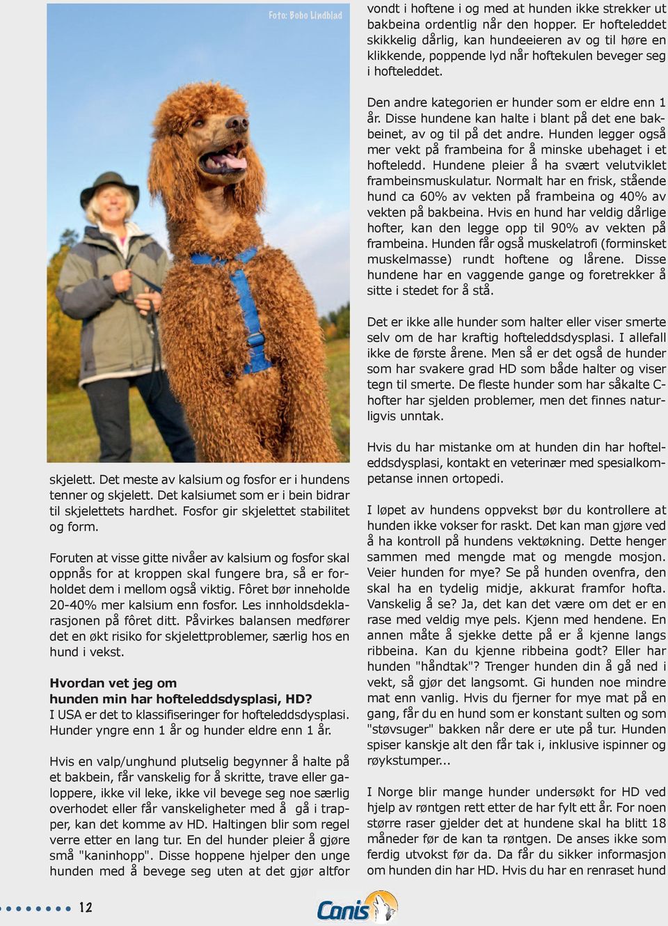 Hofteleddsdysplasi. - hvorfor akkurat MIN hund? - PDF Free Download