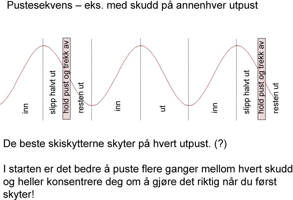 med skudd på annenhver utpust De beste skiskytterne skyter på hvert utpust. (?