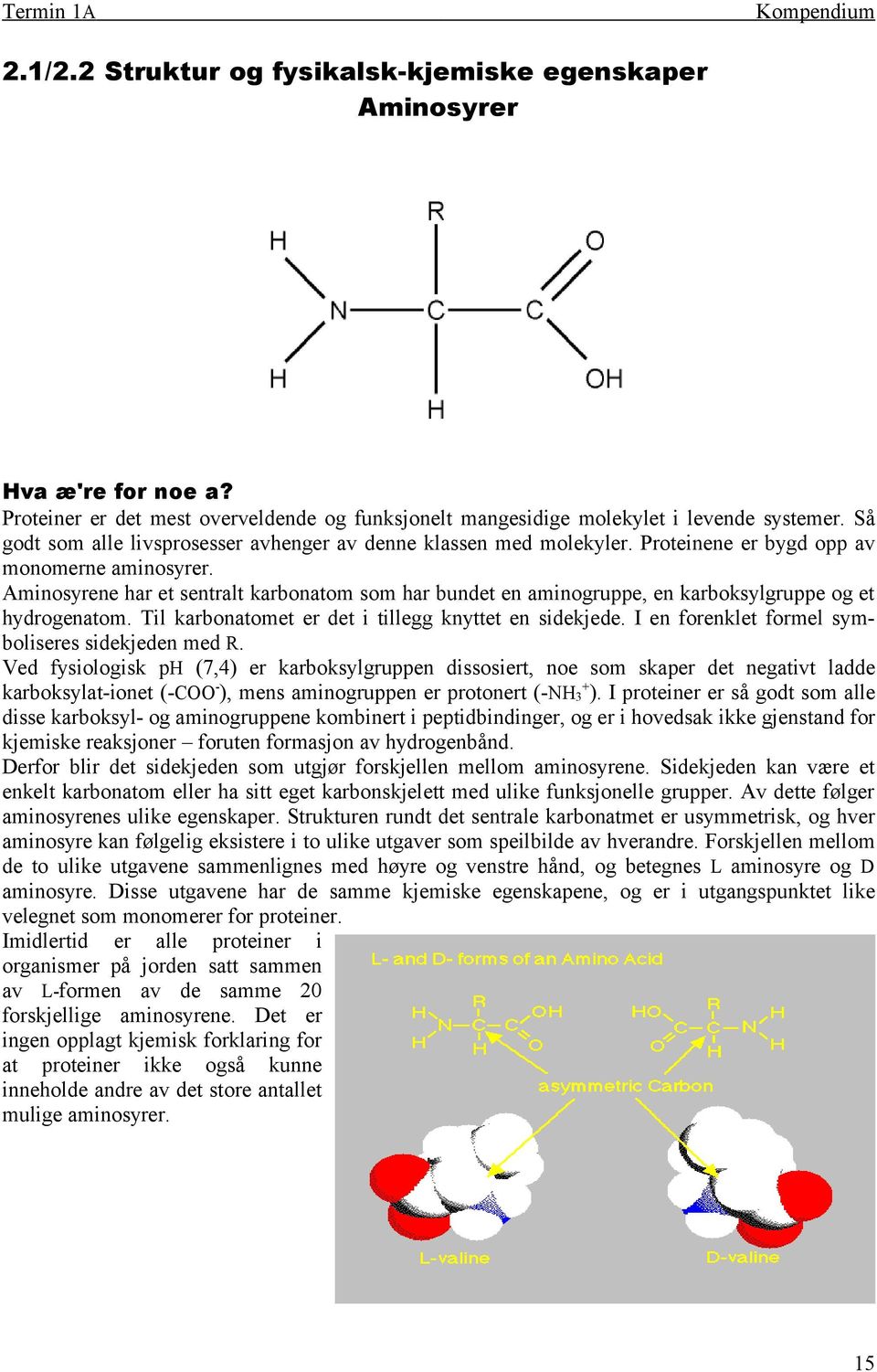 Aminosyrene har et sentralt karbonatom som har bundet en aminogruppe, en karboksylgruppe og et hydrogenatom. Til karbonatomet er det i tillegg knyttet en sidekjede.