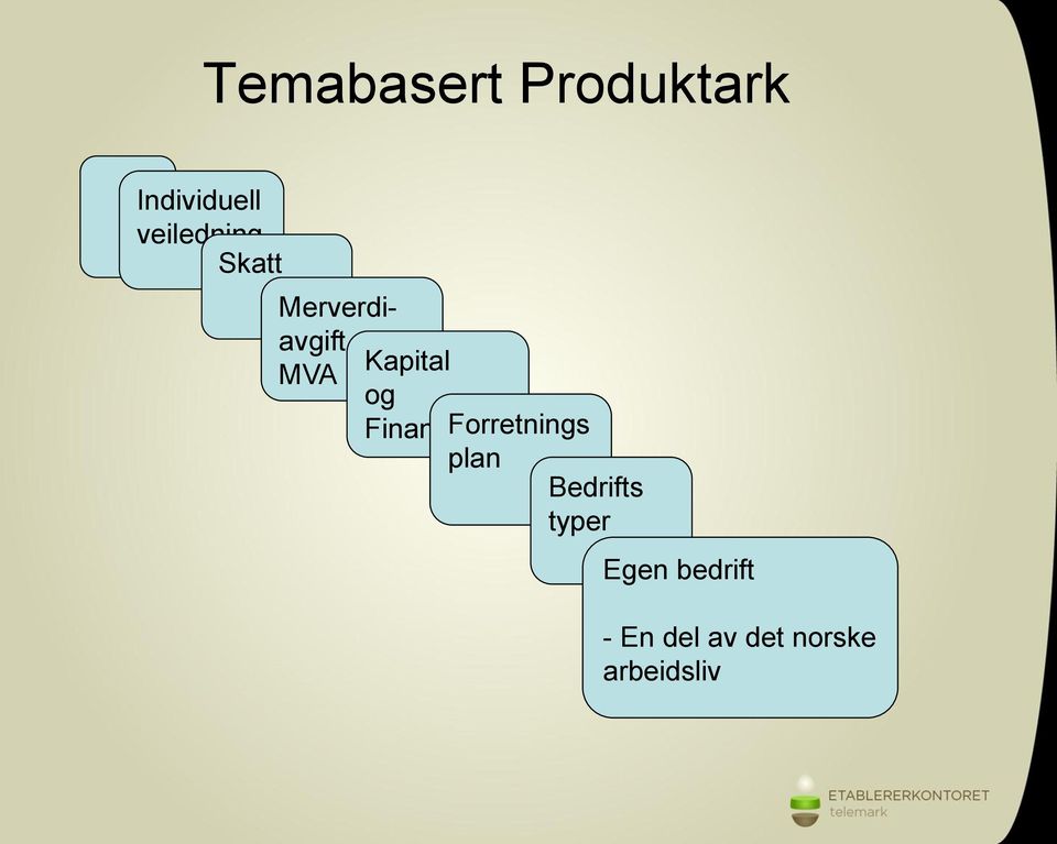 Kapital og Finans Forretnings plan