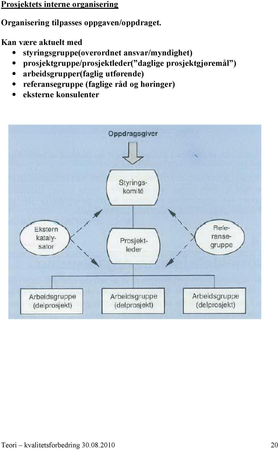 prosjektgruppe/prosjektleder( daglige prosjektgjøremål ) arbeidsgrupper(faglig