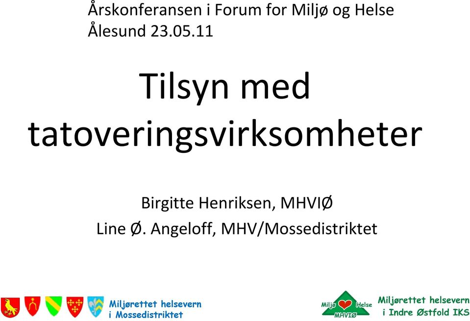 11 Tilsyn med tatoveringsvirksomheter Birgitte