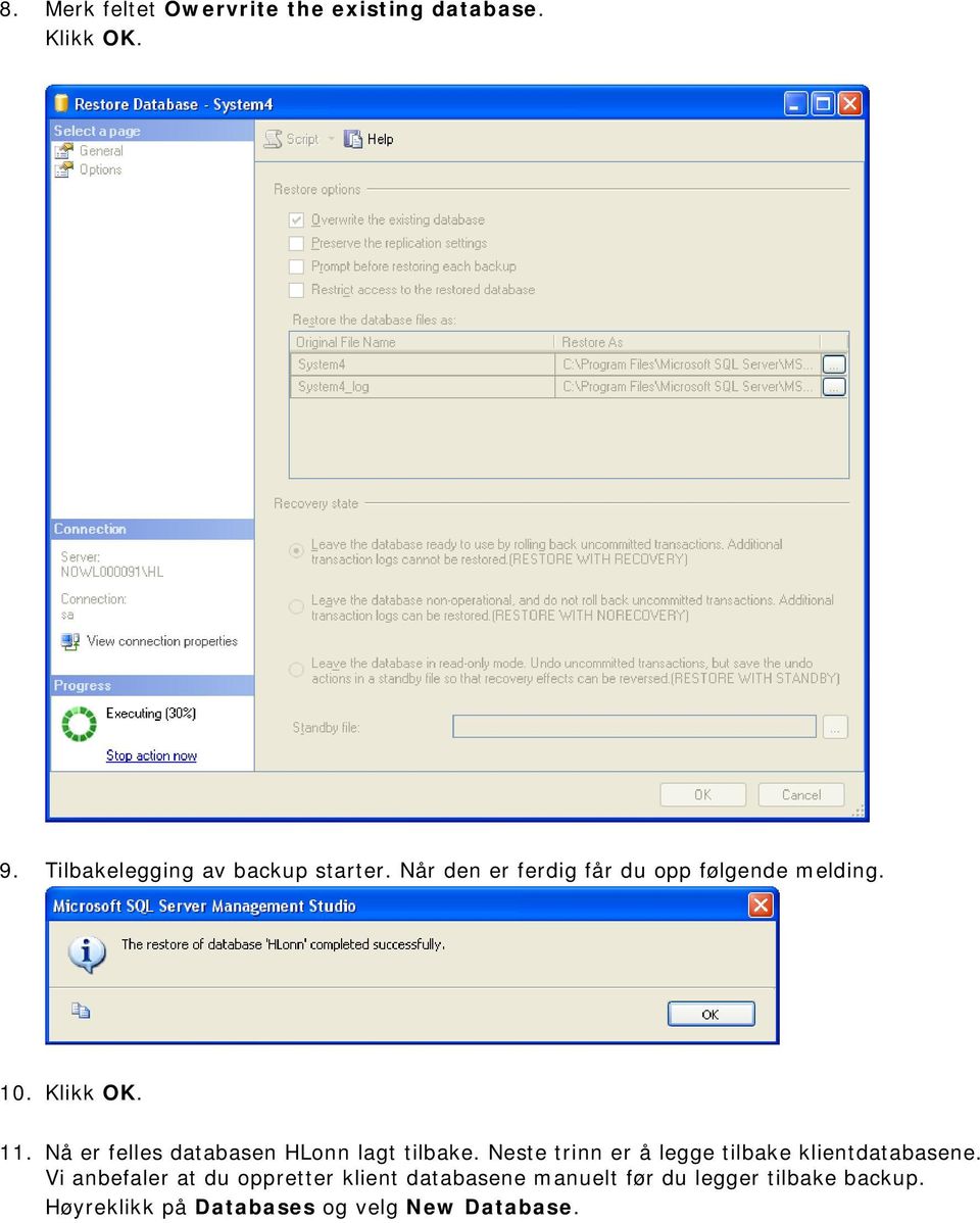 Nå er felles databasen HLonn lagt tilbake. Neste trinn er å legge tilbake klientdatabasene.