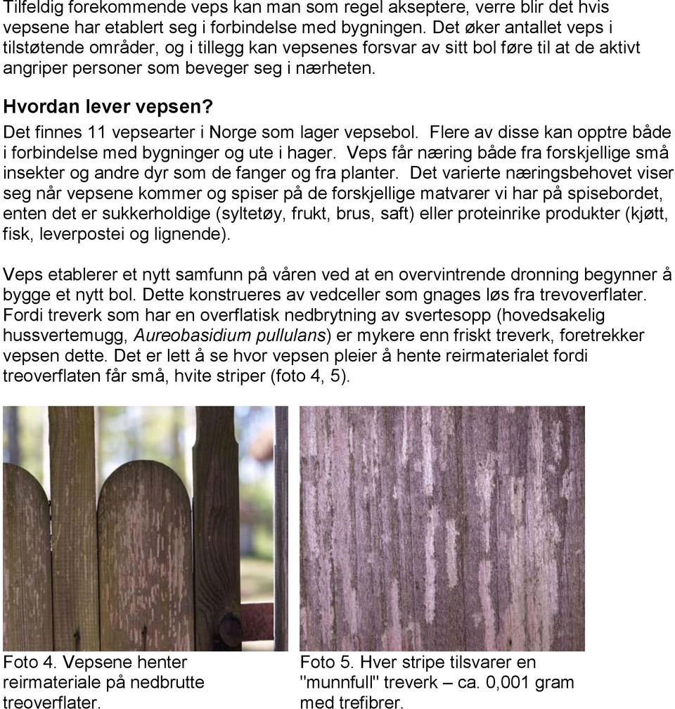 Det finnes 11 vepsearter i Norge som lager vepsebol. Flere av disse kan opptre både i forbindelse med bygninger og ute i hager.