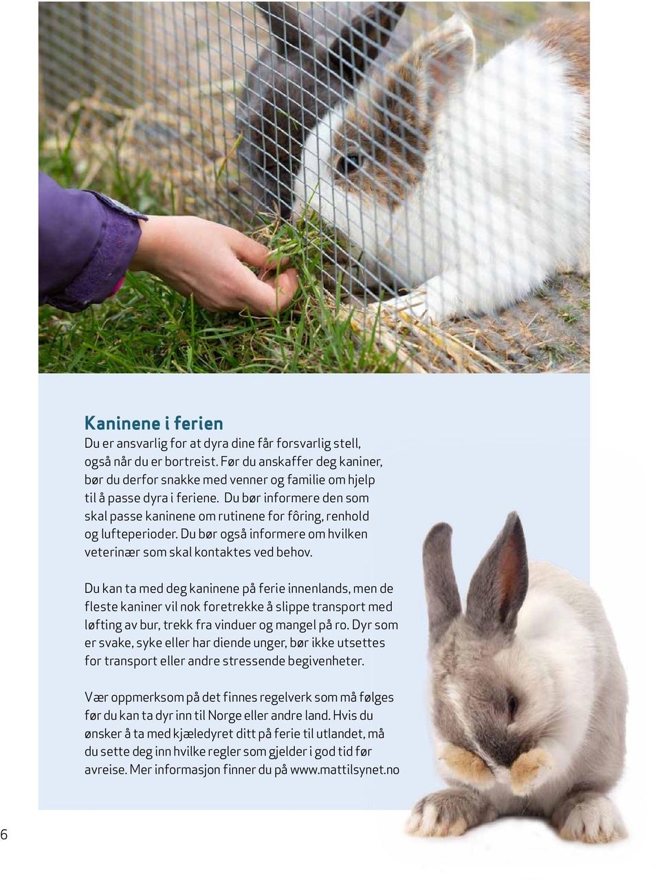 Du bør informere den som skal passe kaninene om rutinene for fôring, renhold og lufteperioder. Du bør også informere om hvilken veterinær som skal kontaktes ved behov.