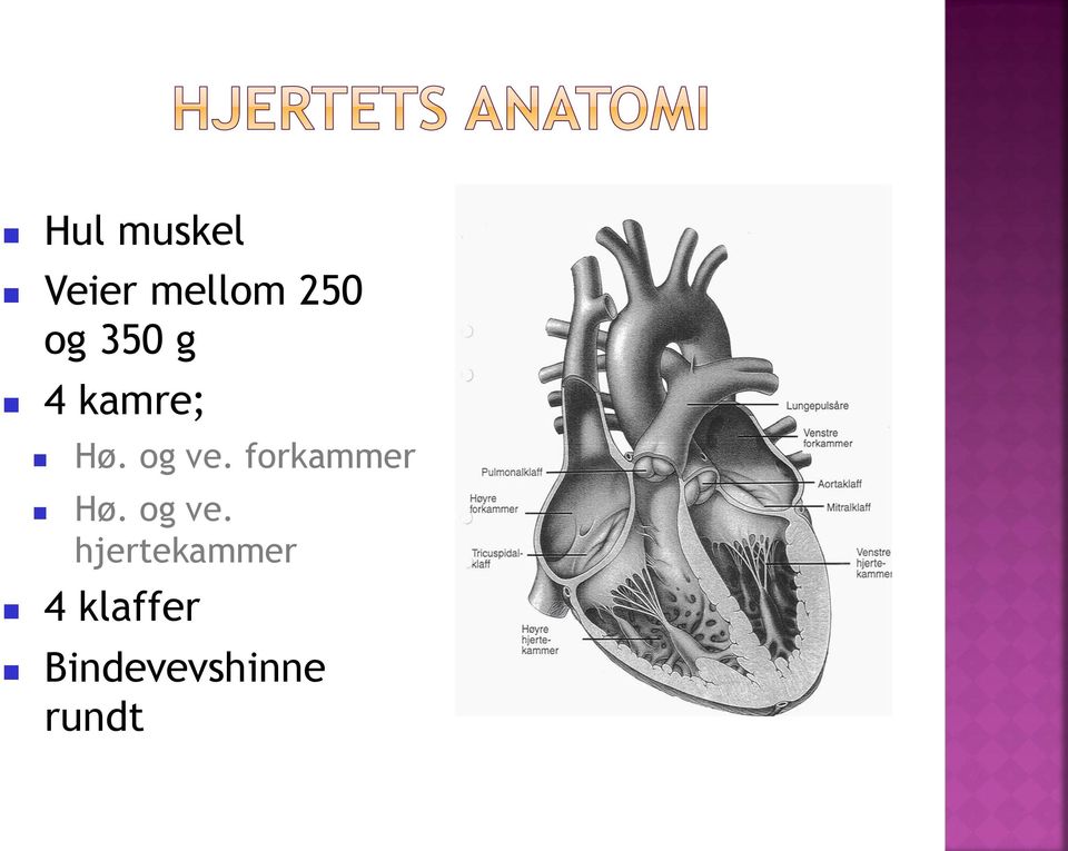 forkammer Hø. og ve.