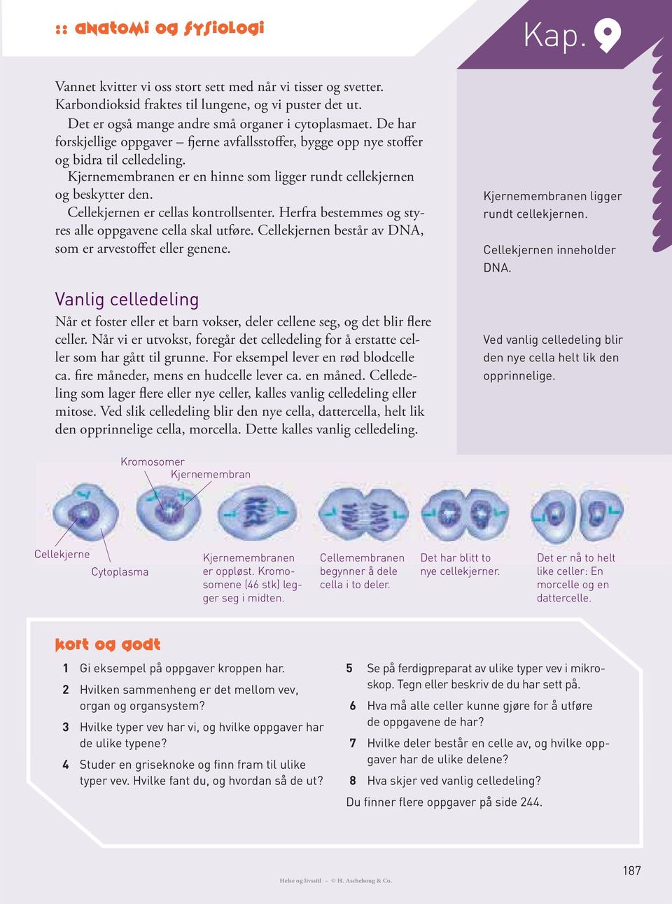 Cellekjernen er cellas kontrollsenter. Herfra bestemmes og styres alle oppgavene cella skal utføre. Cellekjernen består av DNA, som er arvestoffet eller genene.