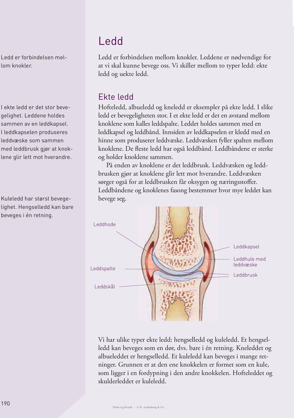 Leddet holdes sammen med en leddkapsel og leddbånd. Innsiden av leddkapselen er kledd med en hinne som produserer leddvæske. Leddvæsken fyller spalten mellom knoklene.