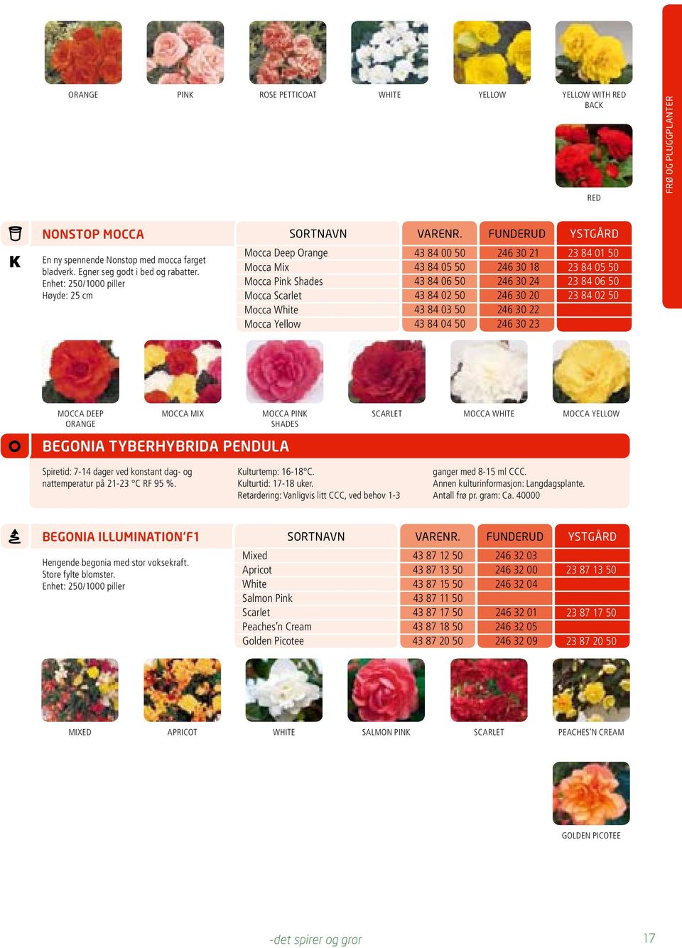 05 50 8 06 50 8 0 50 MOCCA DEEP ORANGE MOCCA MIX MOCCA PIN SHADES begonia TybERHybRIdA pendula SCARLET MOCCA WHITE MOCCA yellow Spiretid: 7-1 dager ved konstant dag- og nattemperatur på 1- C RF 95 %.