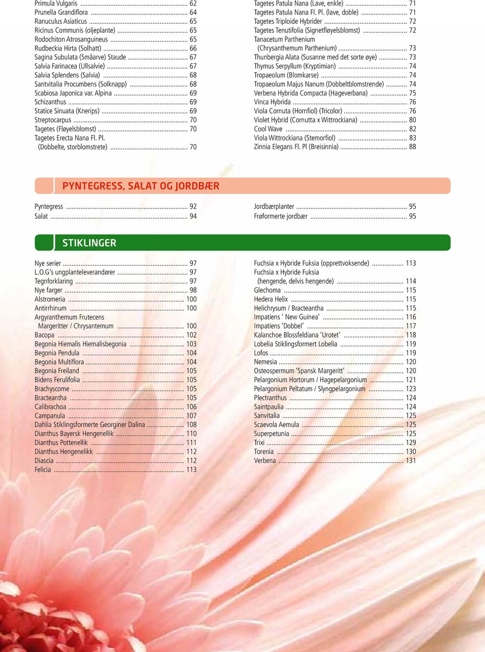 .. 69 Statice Sinuata (nerips)... 69 Streptocarpus... 70 Tagetes (Fløyelsblomst)... 70 Tagetes Erecta Nana Fl. Pl. (Dobbelte, storblomstrete)... 70 Tagetes Patula Nana (Lave, enkle).