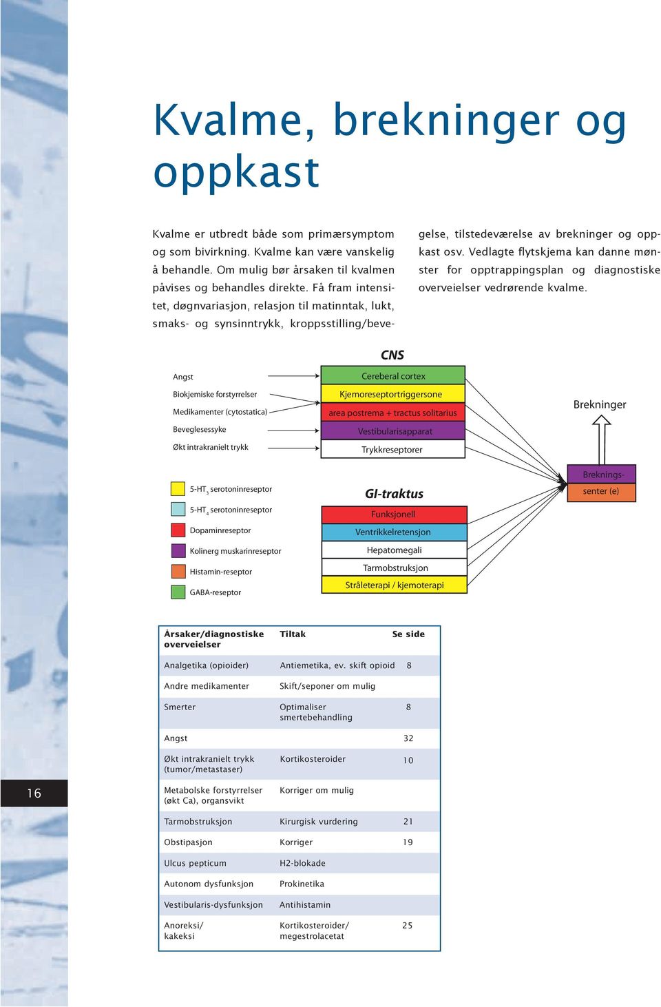 Vedlagte flytskjema kan danne mønster for opptrappingsplan og diagnostiske overveielser vedrørende kvalme.