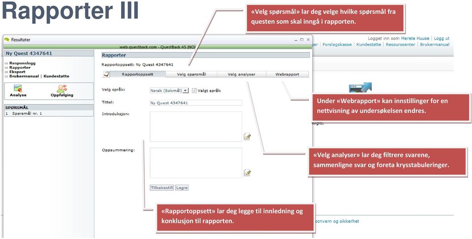 Under «Webrapport» kan innstillinger for en nettvisning av undersøkelsen endres.