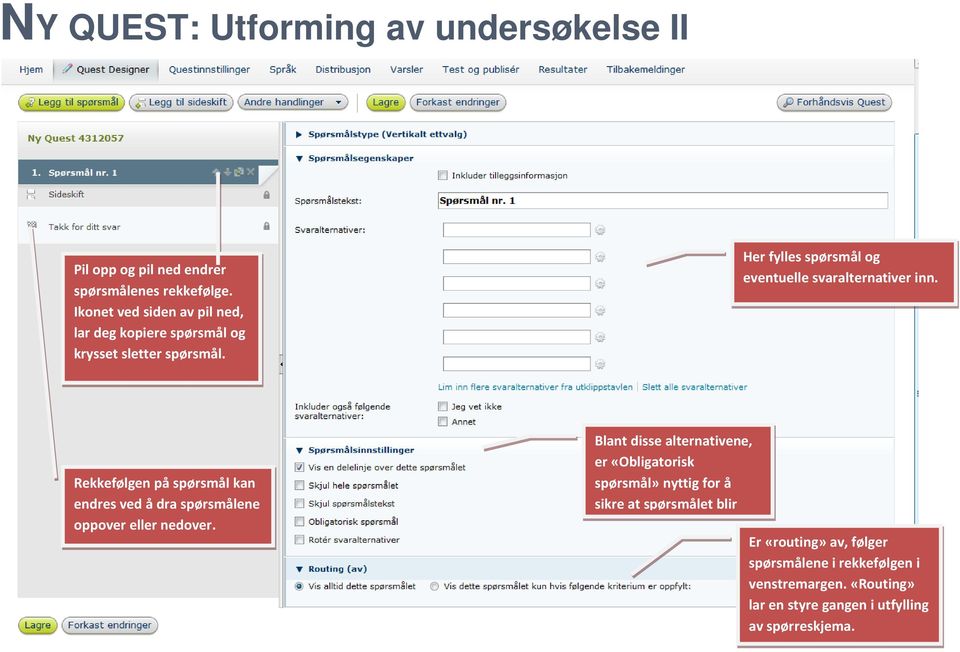 Her fylles spørsmål og eventuelle svaralternativer inn.