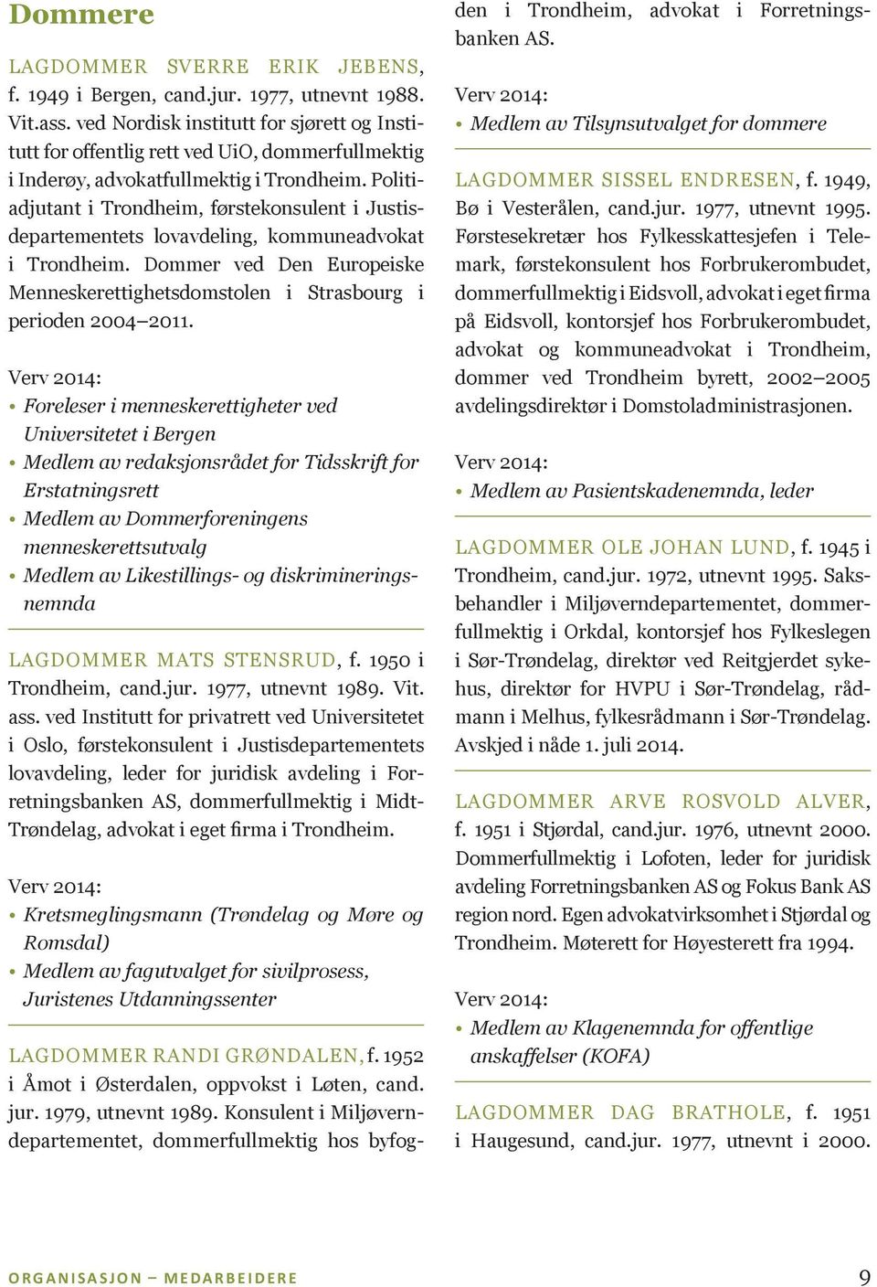 Politiadjutant i Trondheim, førstekonsulent i Justisdepartementets lovavdeling, kommune advokat i Trondheim. Dommer ved Den Europeiske Menneske rettighetsdomstolen i Strasbourg i perioden 2004 2011.