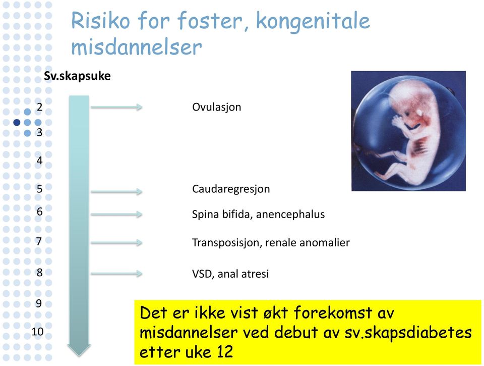 anencephalus Transposisjon, renale anomalier VSD, anal atresi Det