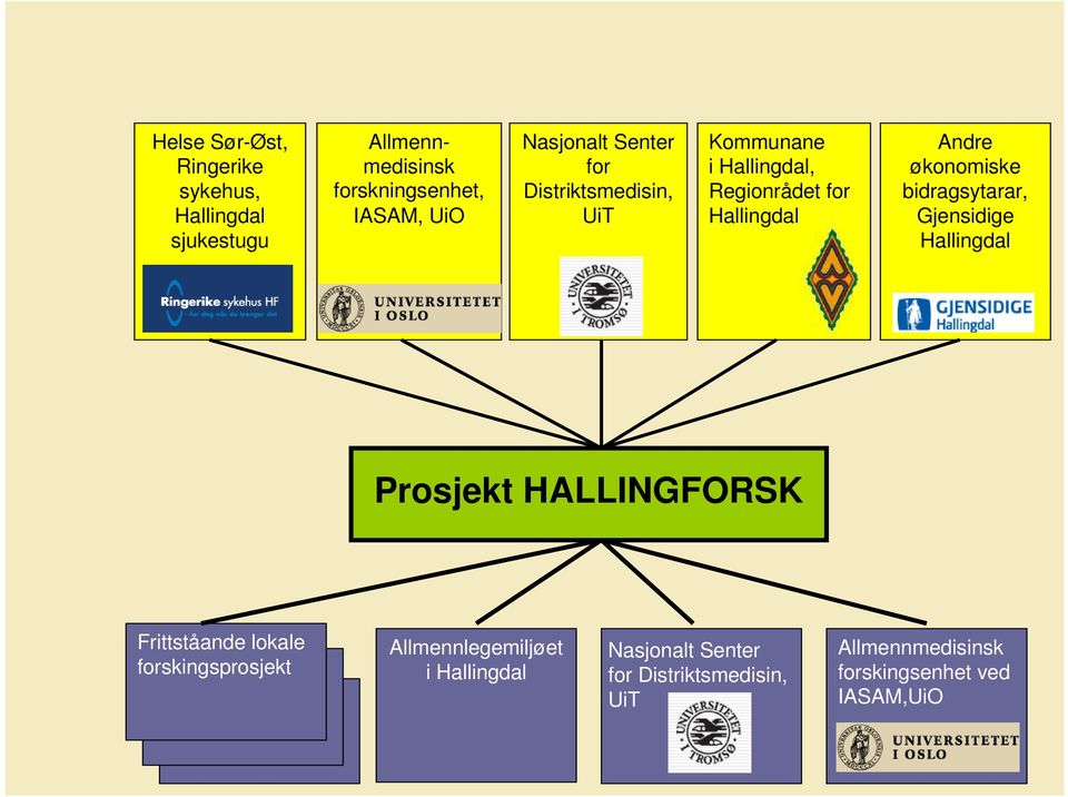 økonomiske bidragsytarar, Gjensidige Hallingdal Prosjekt HALLINGFORSK Frittståande lokale forskingsprosjekt