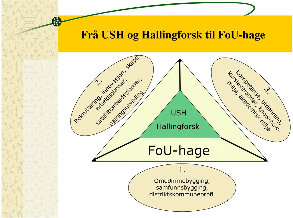 USH Hallingforsk Rekruttering, innovasjon, skape arbeidsplasser,