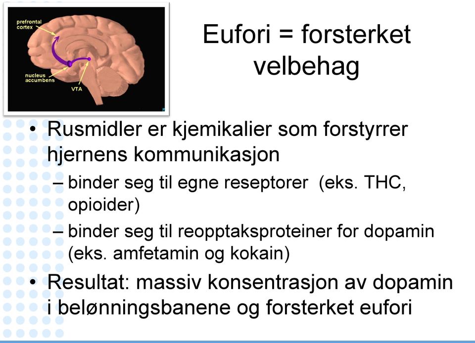 THC, opioider) binder seg til reopptaksproteiner for dopamin (eks.