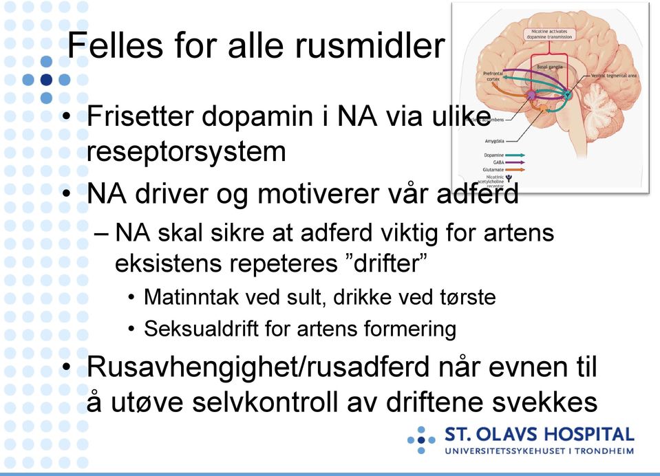 repeteres drifter Matinntak ved sult, drikke ved tørste Seksualdrift for artens