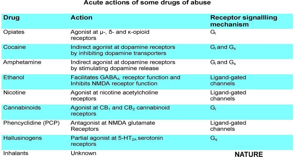 release Facilitates GABA A receptor function and Inhibits NMDA receptor function Agonist at nicotine acetylcholine receptors Agonist at CB 1 and CB 2 cannabinoid receptors Antagonist