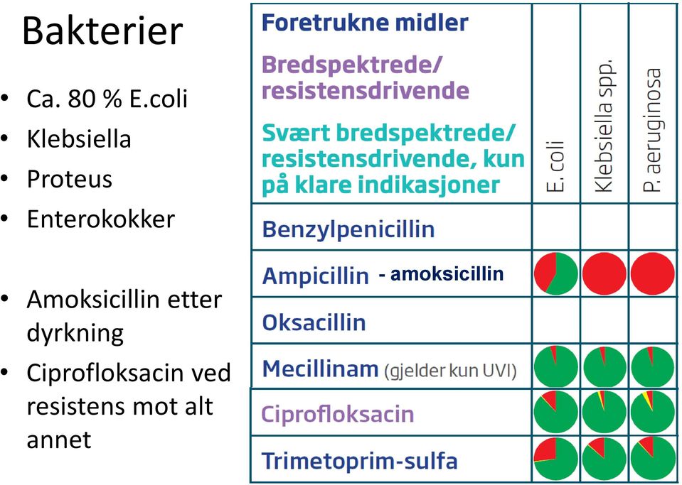 Enterokokker Amoksicillin etter