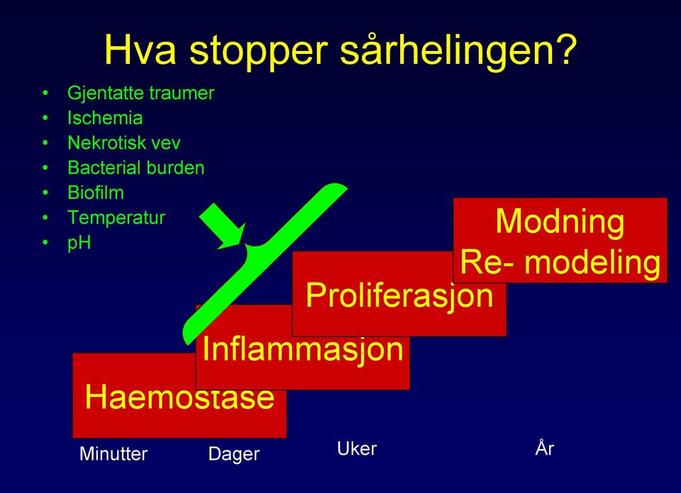 Bacterial burden Biofilm Temperatur ph Modning