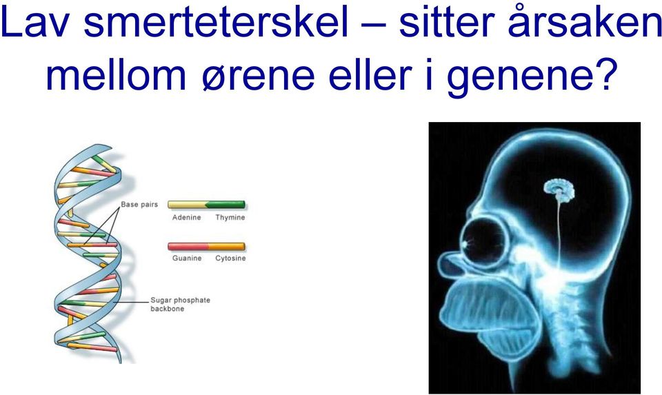 sitter årsaken