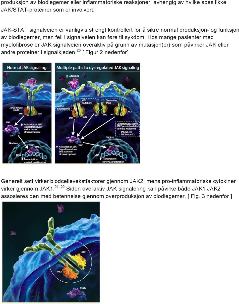 Hos mange pasienter med myelofibrose er JAK signalveien overaktiv på grunn av mutasjon(er) som påvirker JAK eller andre proteiner i signalkjeden.