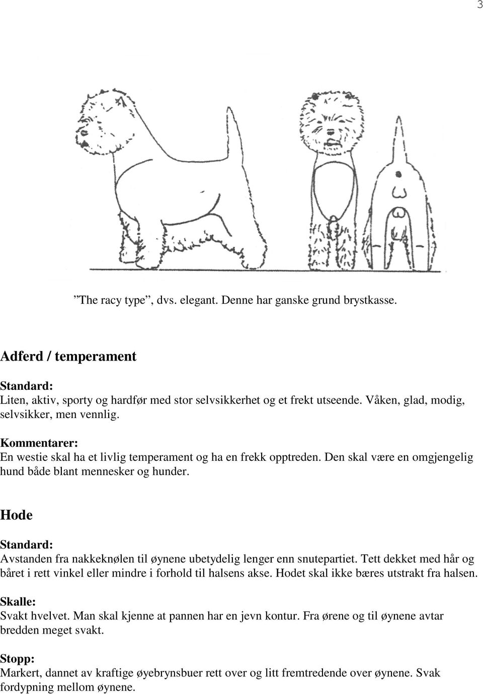 Hode Avstanden fra nakkeknølen til øynene ubetydelig lenger enn snutepartiet. Tett dekket med hår og båret i rett vinkel eller mindre i forhold til halsens akse.