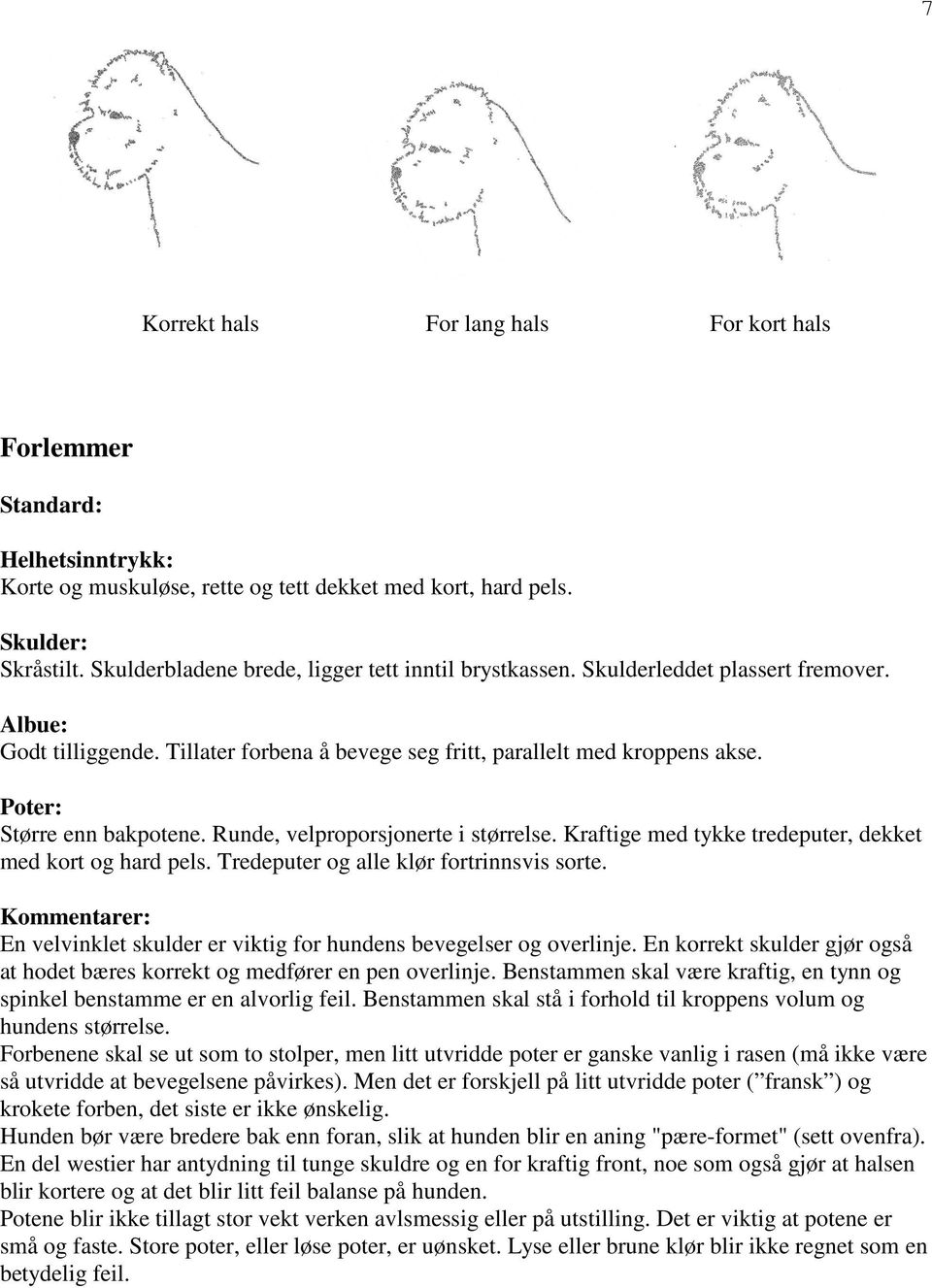 Poter: Større enn bakpotene. Runde, velproporsjonerte i størrelse. Kraftige med tykke tredeputer, dekket med kort og hard pels. Tredeputer og alle klør fortrinnsvis sorte.