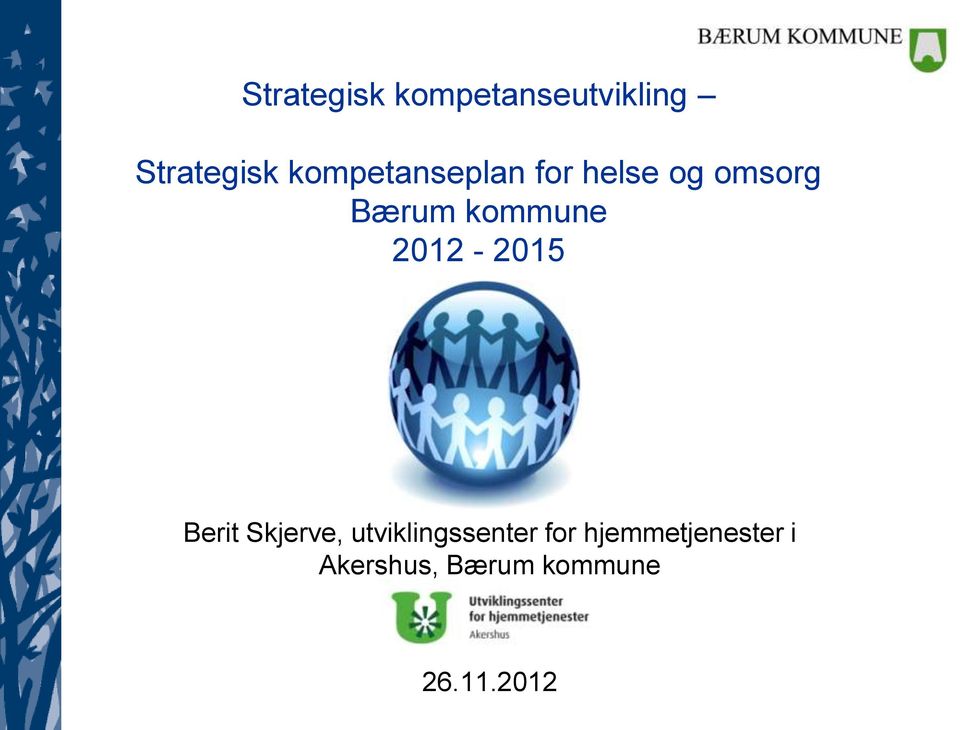 kommune 2012-2015 Berit Skjerve,