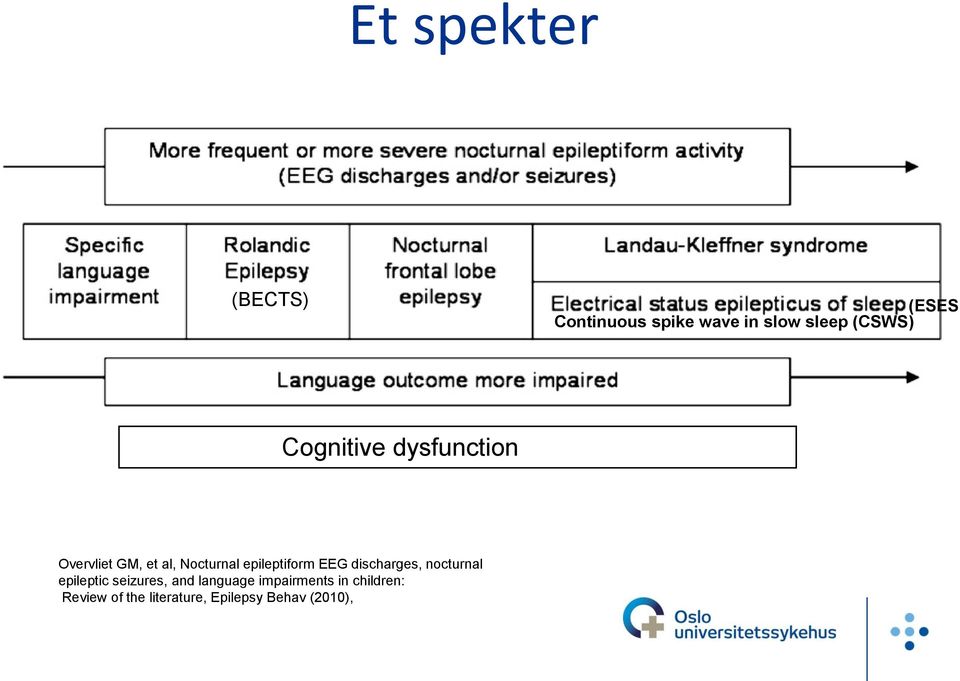 epileptiform EEG discharges, nocturnal epileptic seizures, and