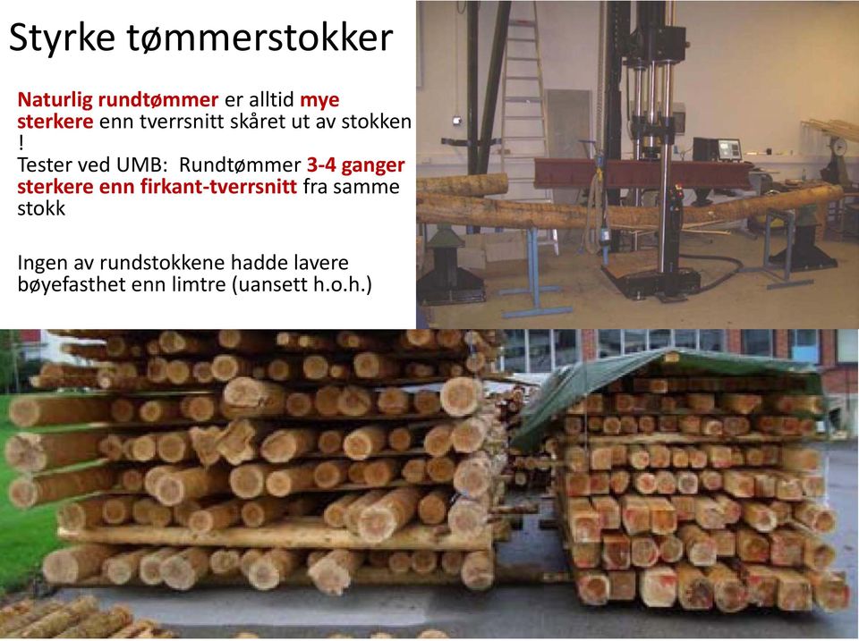 Tester ved UMB: Rundtømmer 3-4 ganger sterkere enn firkant-tverrsnitt