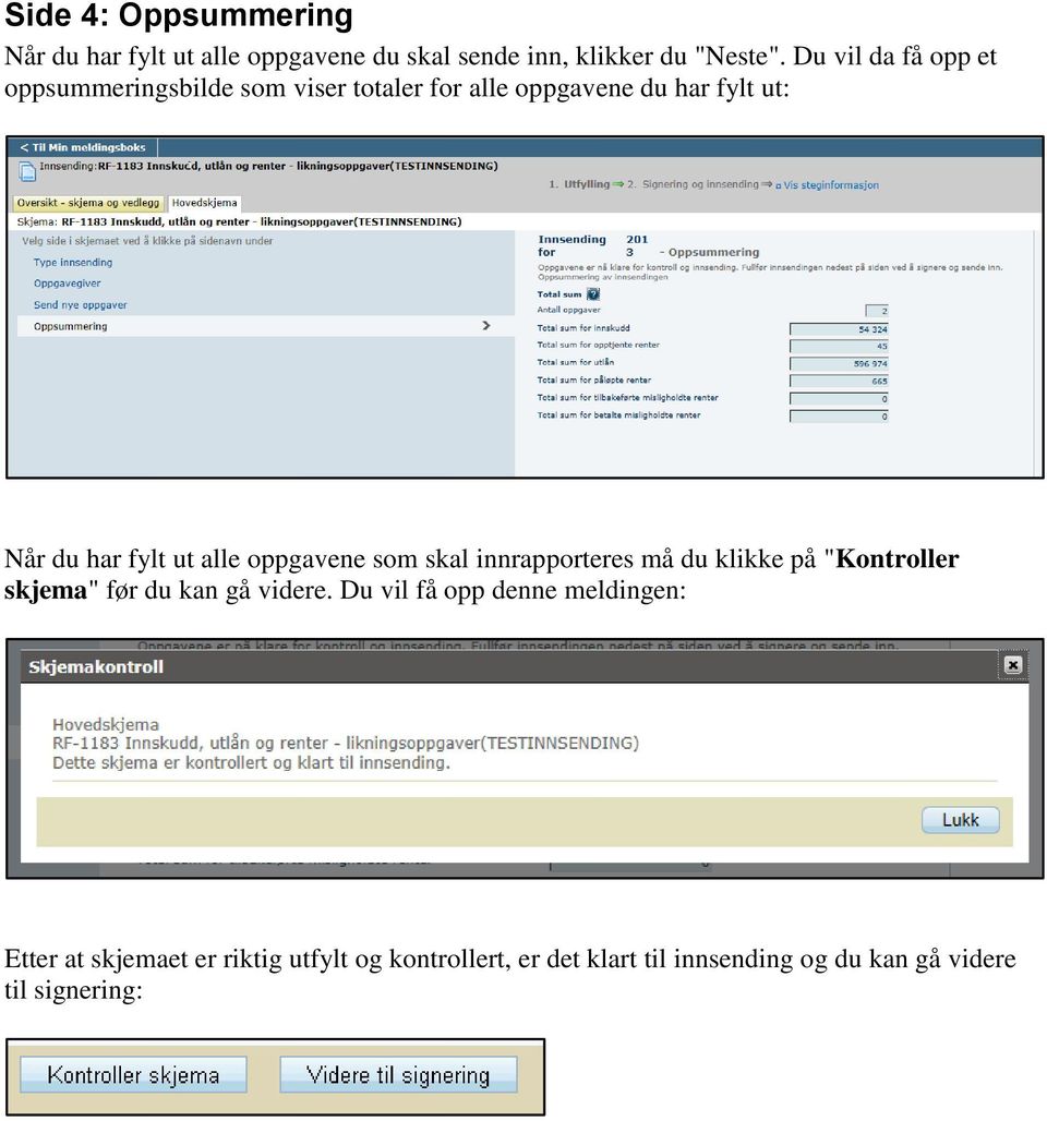 alle oppgavene som skal innrapporteres må du klikke på "Kontroller skjema" før du kan gå videre.