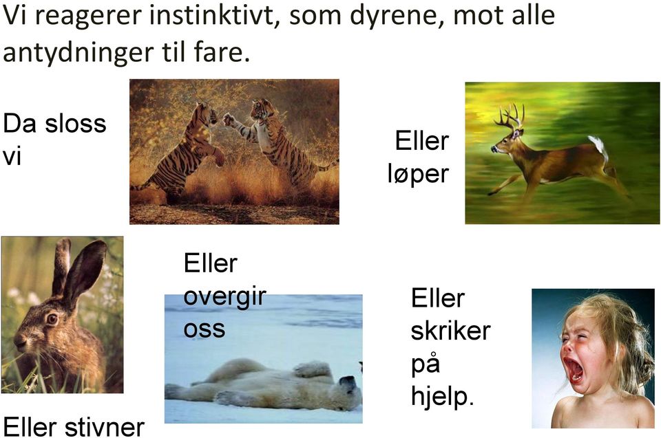 Da sloss vi Eller løper Eller