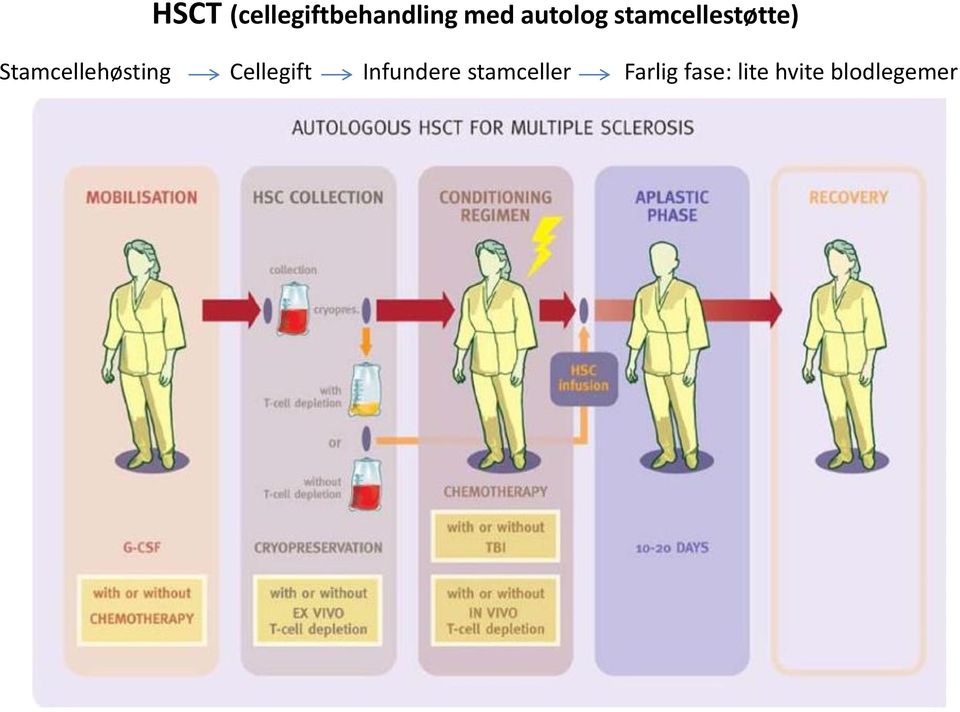 Stamcellehøsting Cellegift