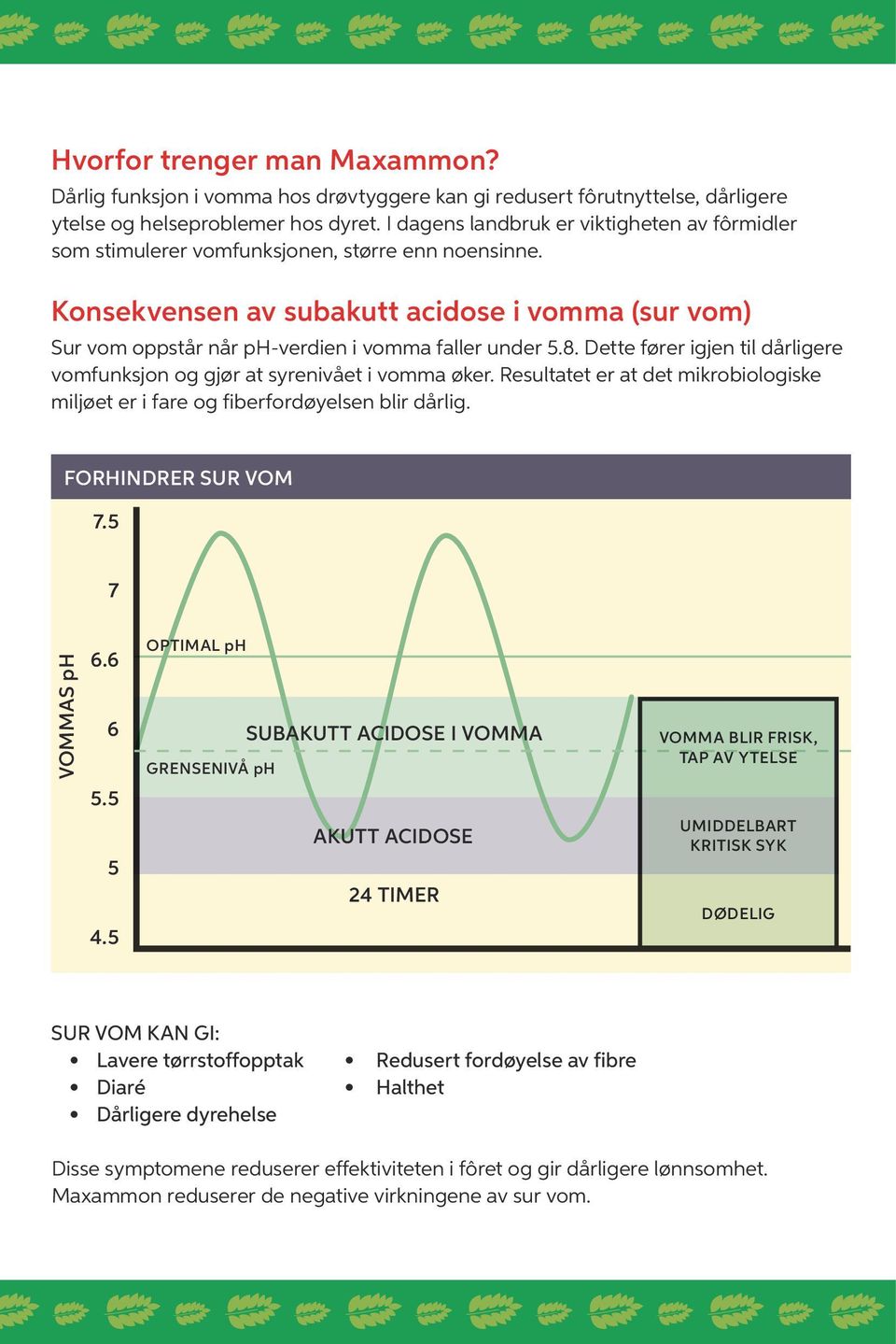 Konsekvensen av subakutt acidose i vomma (sur vom) Sur vom oppstår når ph-verdien i vomma faller under 5.8. Dette fører igjen til dårligere vomfunksjon og gjør at syrenivået i vomma øker.