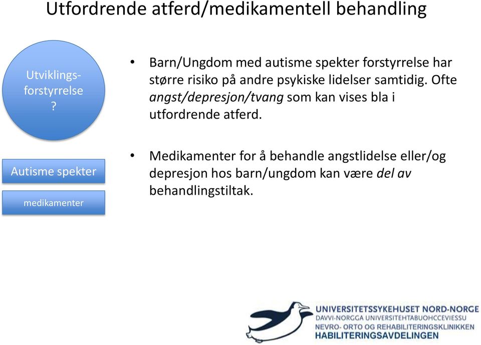 Ofte angst/depresjon/tvang som kan vises bla i utfordrende atferd.