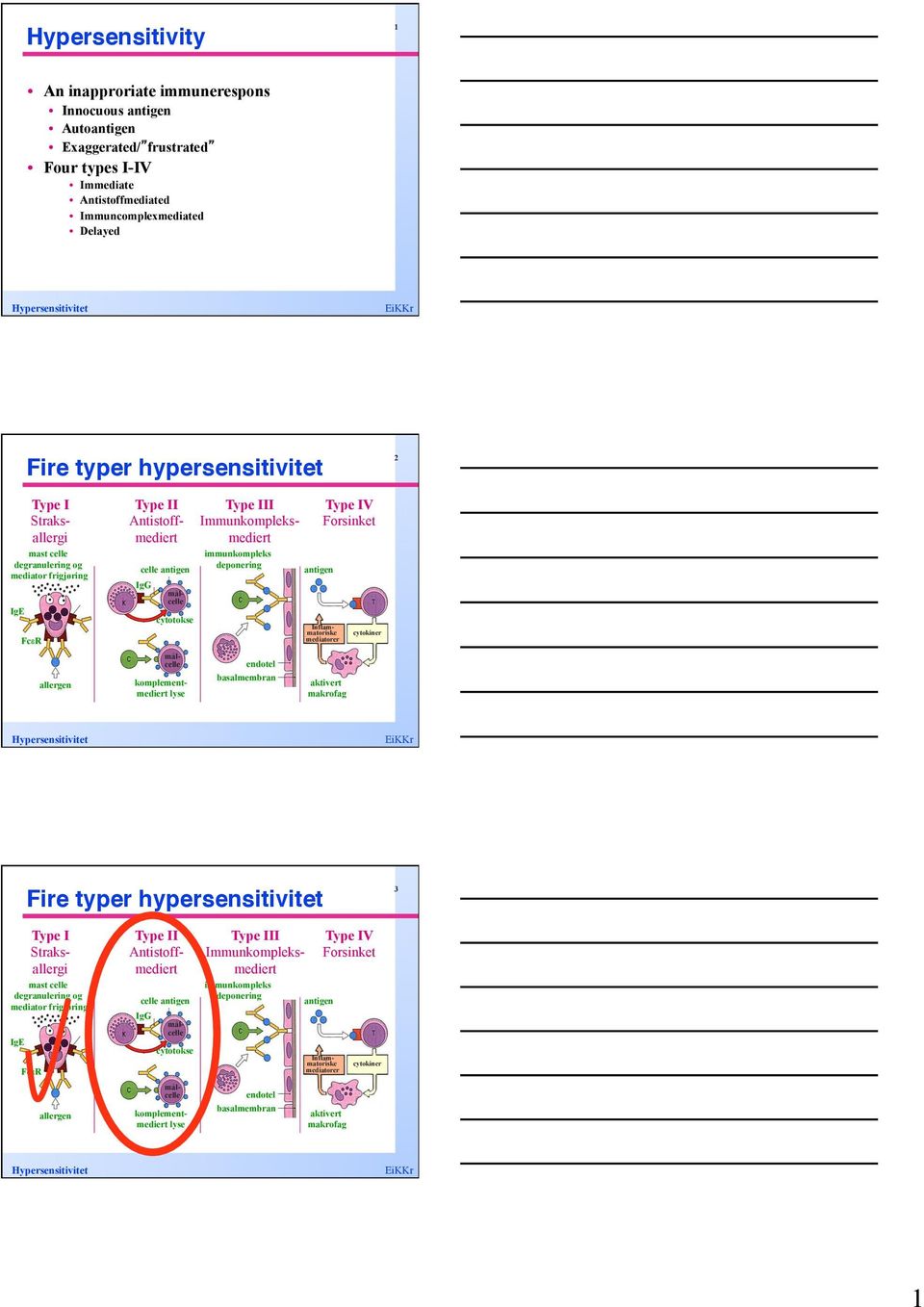 2 Type I Straksallergi mast celle degranulering og mediator frigjøring IgE FcεR allergen Type II Antistoffmediert celle antigen IgG cytotokse Type III Immunkompleksmediert komplementmediert lyse