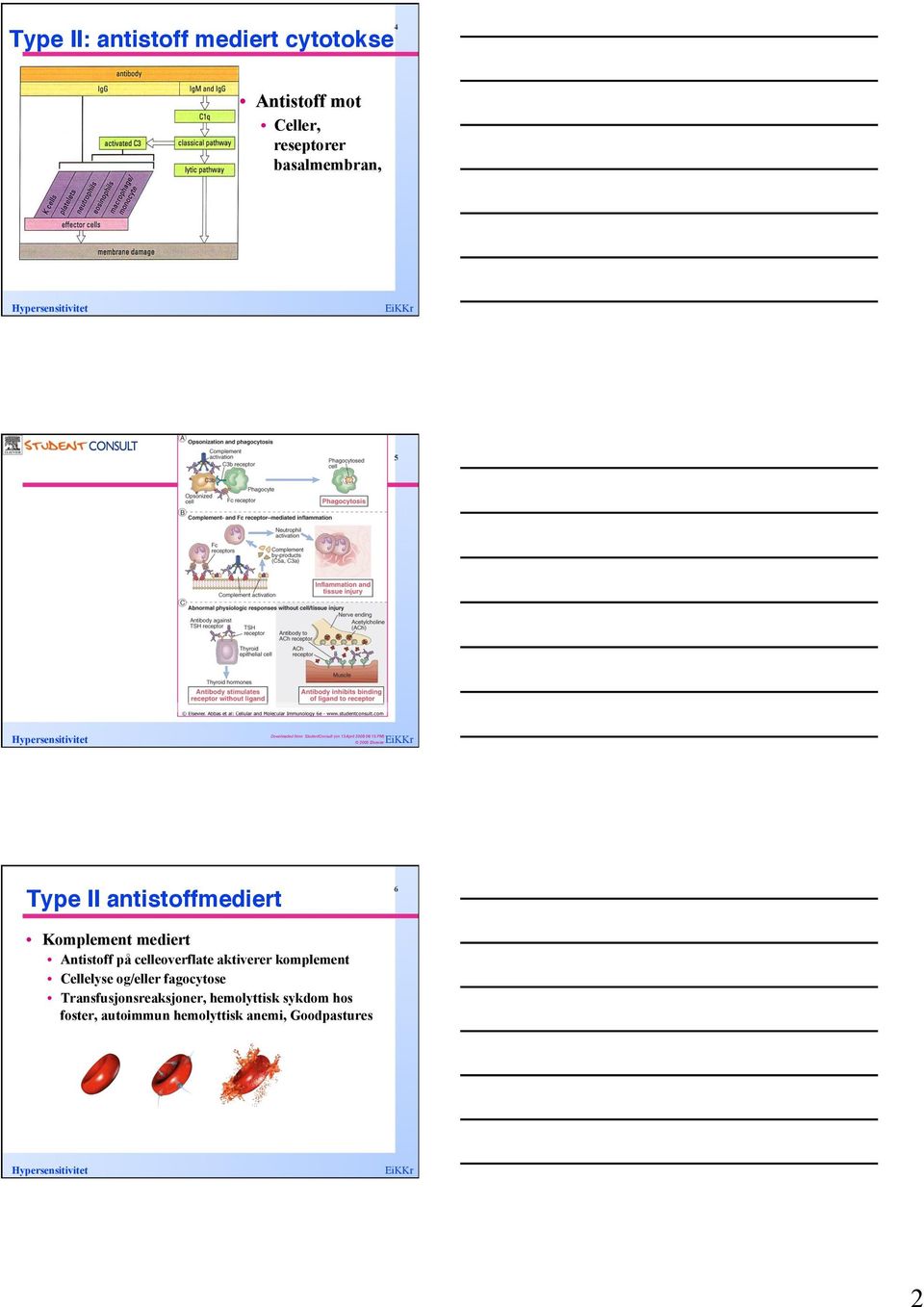 2008 06:15 PM) 2005 Elsevier Type II antistoffmediert!