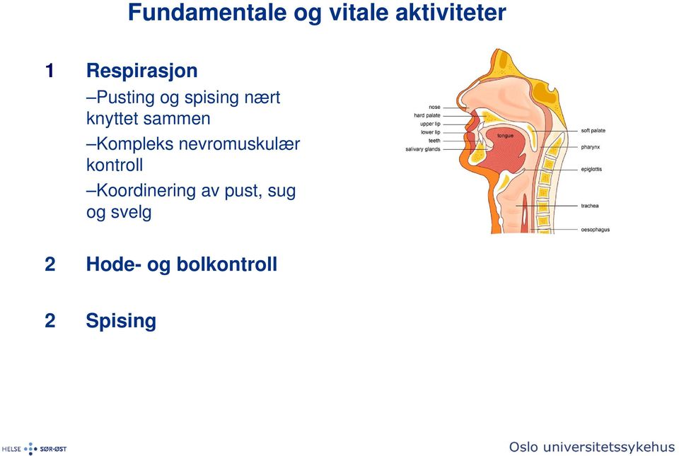 sammen Kompleks nevromuskulær kontroll