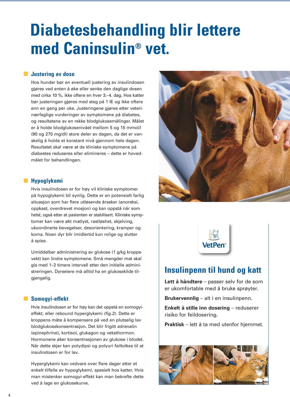Caninsulin vet. Friske, glade dyr med diabetes. Gjør det mulig med  Caninsulin vet. INSULIN FOR HUNDER OG KATTER. Injeksjonsvæske, suspensjon  40 IE/ml - PDF Free Download