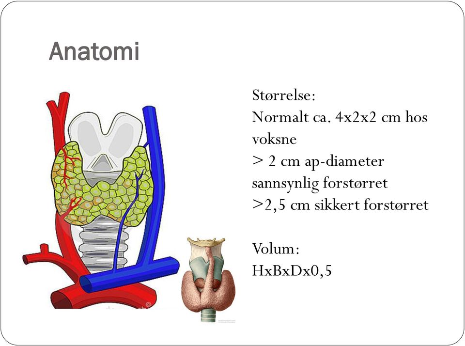 ap-diameter sannsynlig forstørret