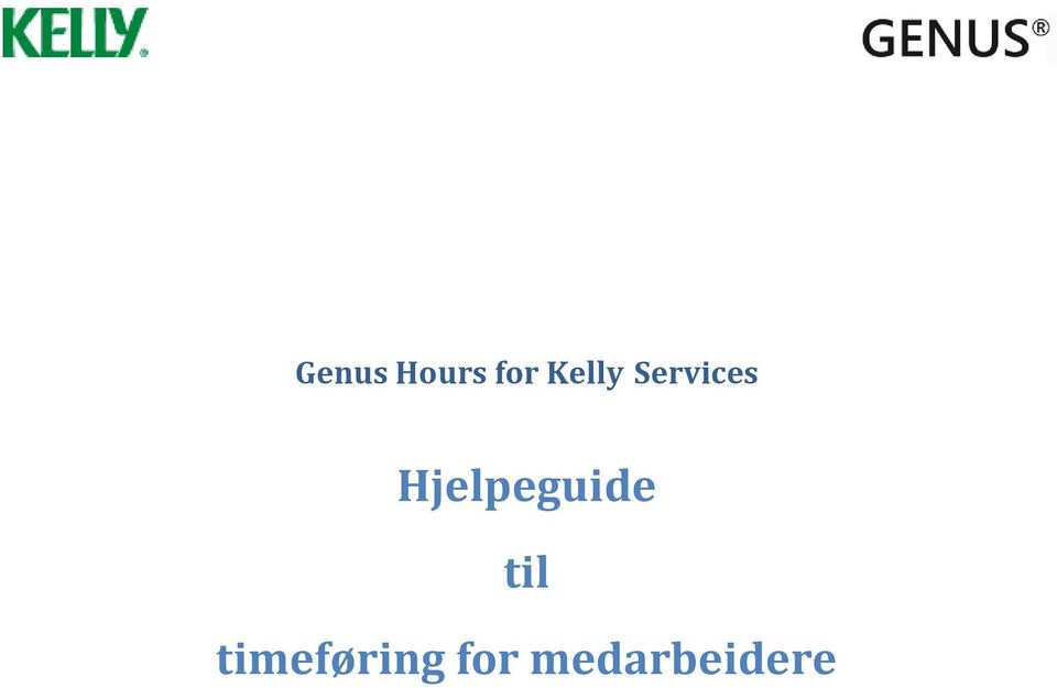 Hjelpeguide til