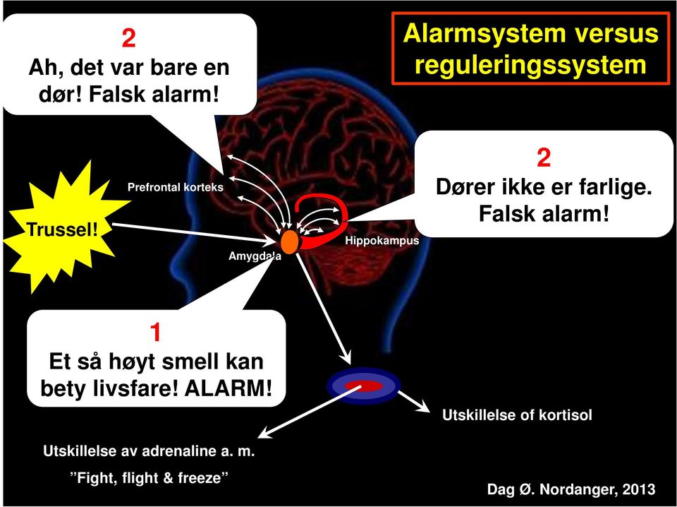 Prefrontal korteks Amygdala Hippokampus 2 Dører ikke er farlige.