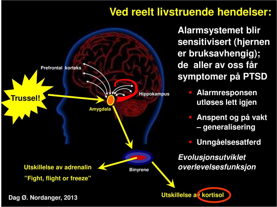 Amygdala Hippokampus Alarmresponsen utløses lett igjen Anspent og på vakt generalisering